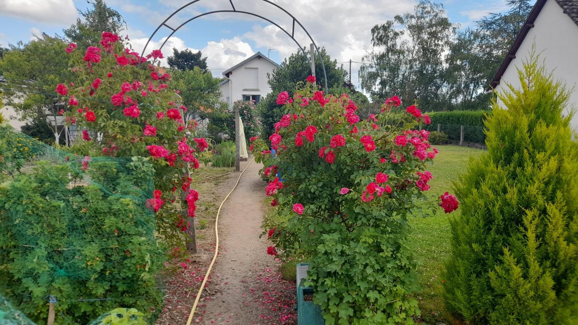 Les Abelias Bed and Breakfast Hauterive  Eksteriør billede